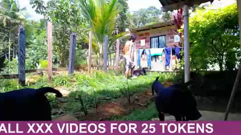 Black Panther online show from August 4, 2:58 pm