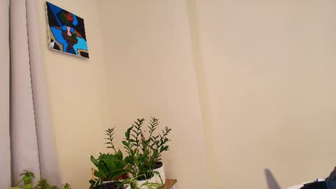 FLORAA online show from August 15, 4:33 pm