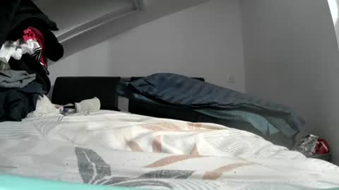 bo22222222 online show from August 7, 4:40 pm