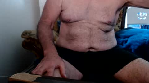 bolbil1 online show from August 4, 2:58 pm