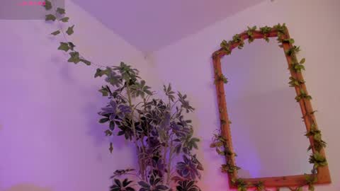   online show from July 31, 3:35 am