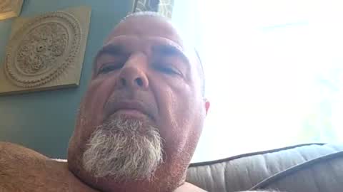 boolika online show from August 15, 2:54 pm