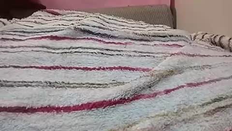 Boringbabe88 online show from August 11, 7:21 am