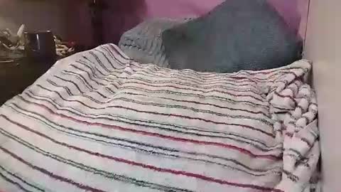 Boringbabe88 online show from August 12, 5:10 am