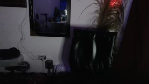 brayanthetiger online show from July 31, 2:51 am