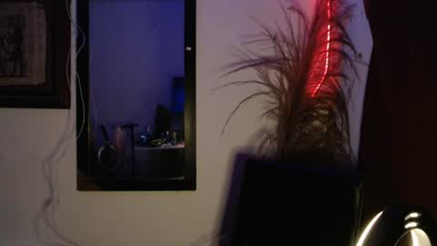 brayanthetiger online show from August 4, 4:31 am