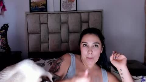     online show from August 8, 8:31 pm