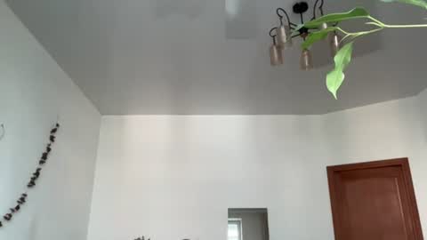 Tess online show from July 30, 5:59 am