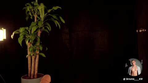 Bruno online show from August 8, 1:27 am