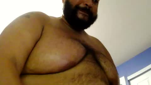 bunbbear online show from August 11, 6:15 am
