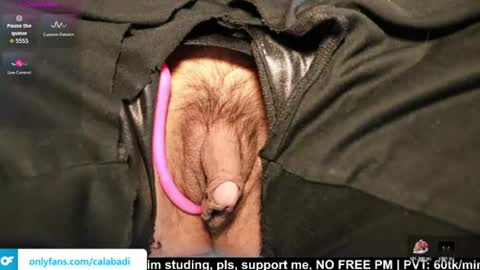 Kitty online show from August 12, 5:59 pm