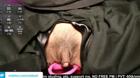 Kitty online show from August 12, 11:51 pm