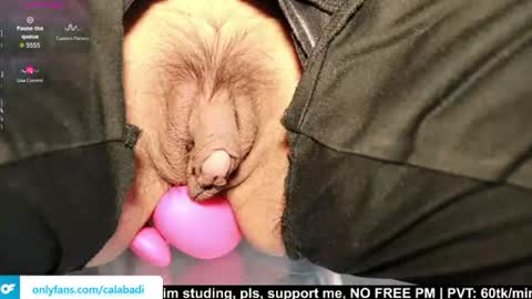 Kitty online show from August 13, 1:58 pm