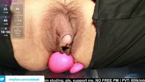 Kitty online show from August 13, 5:27 pm