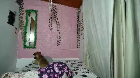 paula online show from August 2, 3:02 am