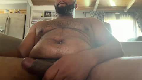 Rooster online show from August 8, 6:41 pm