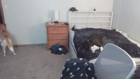 calvin420420 online show from July 6, 10:02 pm