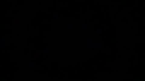 calvinzz online show from April 7, 5:48 pm