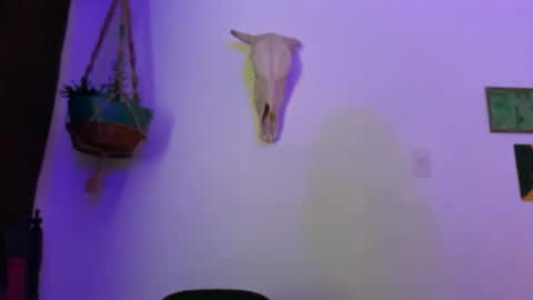  Camille   online show from June 21, 4:35 am