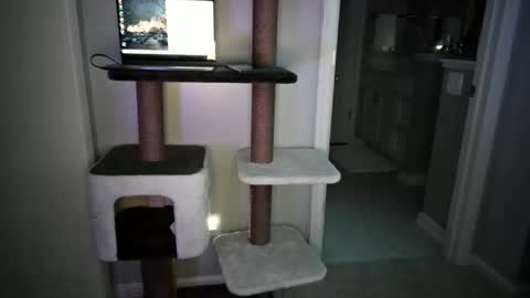 cammyman6900 online show from May 16, 4:45 am
