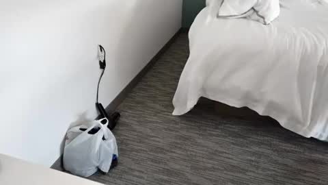 cammyman6900 online show from July 10, 11:32 pm