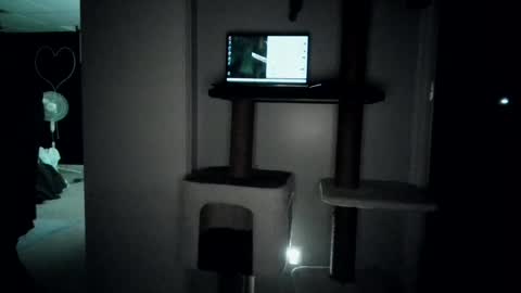 cammyman6900 online show from July 27, 4:07 am