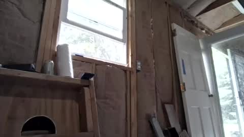 cammyman6900 online show from August 1, 6:47 pm