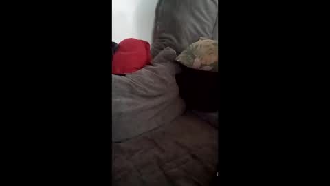canary_braun online show from May 28, 4:43 pm