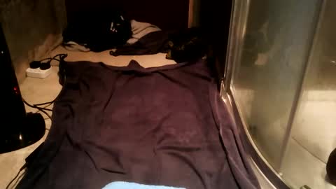 car69ass02839382 online show from February 25, 12:30 am
