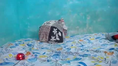 carlos_steven online show from August 10, 8:32 pm