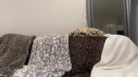 Casey online show from August 13, 12:35 am