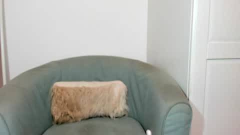 cassiecute - onlyfans account online show from July 17, 8:09 pm