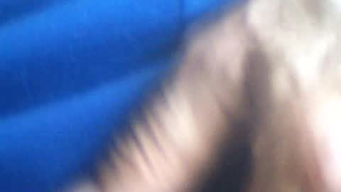 castells online show from July 2, 2:51 pm