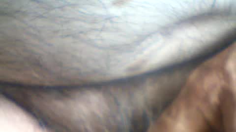 castells online show from July 7, 2:43 pm