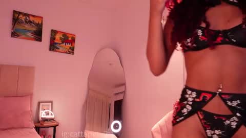 Catta or cat 3 online show from July 28, 1:55 am