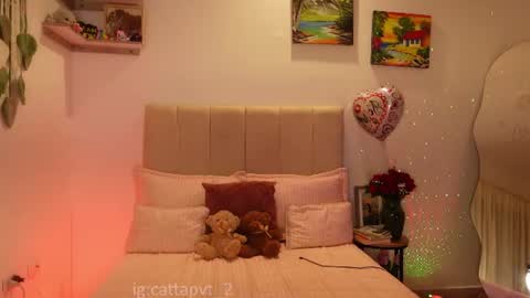 Catta or cat 3 online show from August 2, 12:17 am