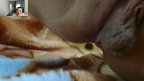 ANNYANNY online show from August 12, 9:44 am