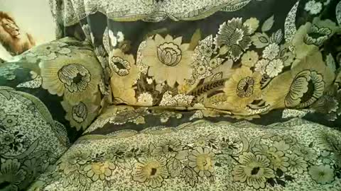 ccass69 online show from August 7, 2:39 pm