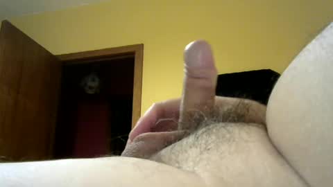cdga online show from August 6, 5:17 am