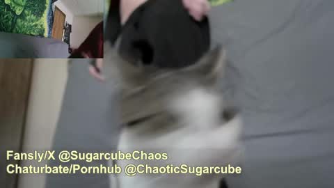 SugarCubeChaos online show from May 14, 6:18 pm