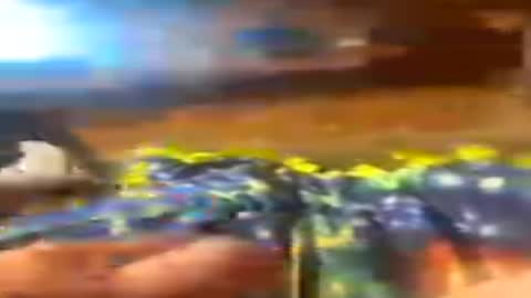 chasepeewee2 online show from July 28, 5:30 pm