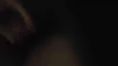 chinacock_16cm online show from August 2, 4:25 pm
