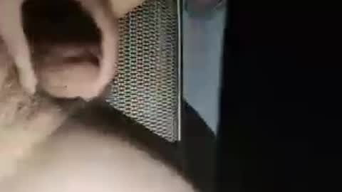 chinacock_16cm online show from August 2, 7:10 pm