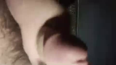 chinacock_16cm online show from August 5, 3:32 pm