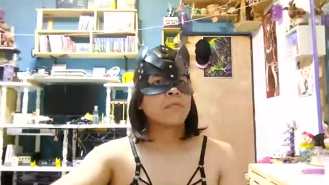chloe_neko15 online show from August 6, 5:06 am