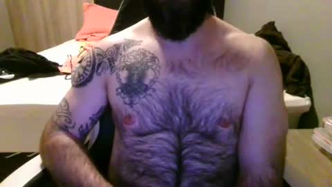 chub bear 99 online show from July 10, 4:07 am