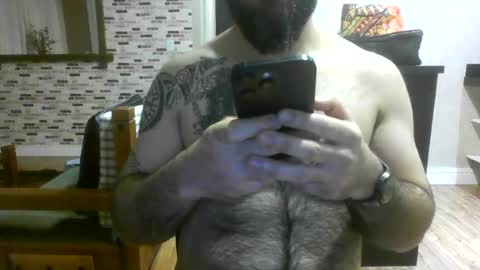 chub bear 99 online show from August 11, 11:29 pm