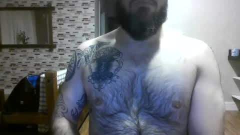 chub bear 99 online show from August 18, 12:05 am