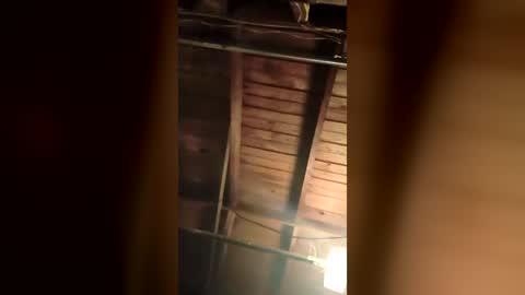 clairesissy103652 online show from July 13, 1:56 am