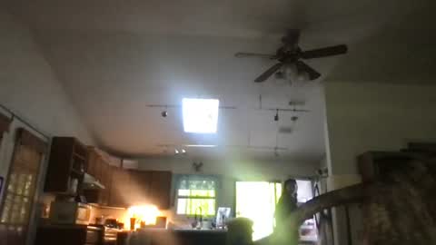 clarnbear online show from August 4, 2:25 pm